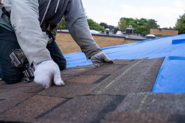 Best New Roof Installation  in Gillett, WI