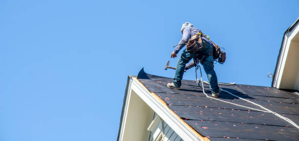 Best Roofing Contractor Near Me  in Gillett, WI